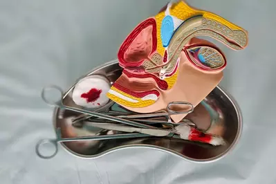 penile surgery